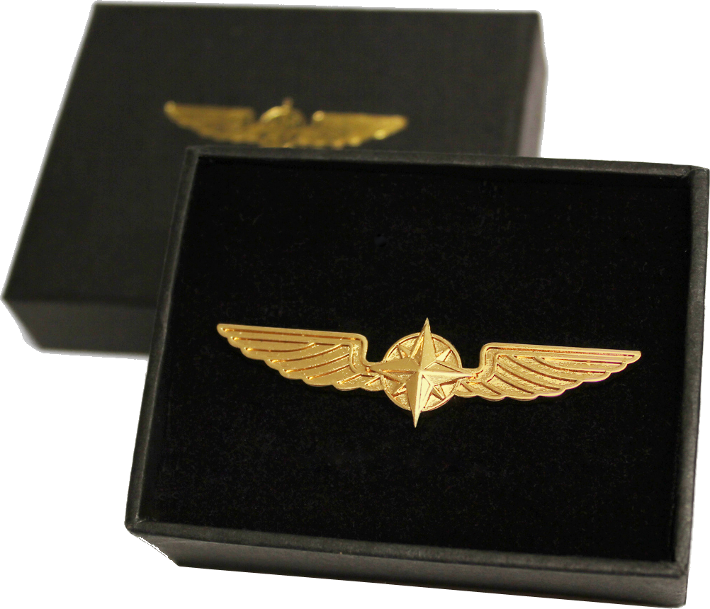 Pilot Wings