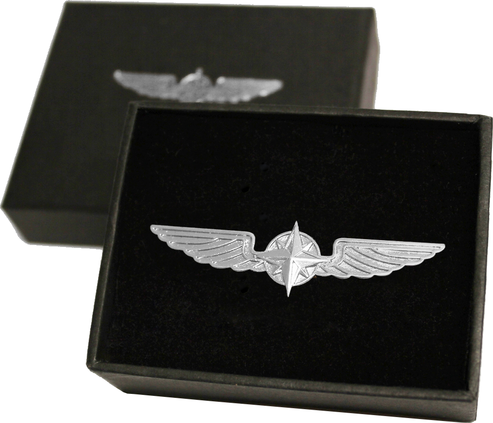 Pilot Wings